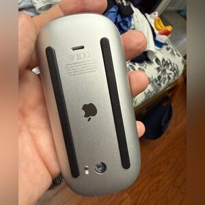 Apple wireless mouse.  Slightly used.  Did not like.